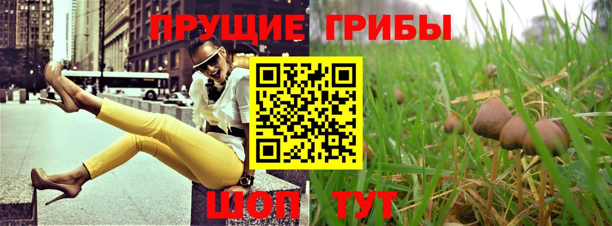 Галлюциногенные грибы ЛСД Красноперекопск